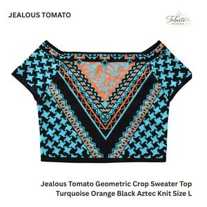 Jealous Tomato Turquoise and Black Geometric Crop Sweater Top